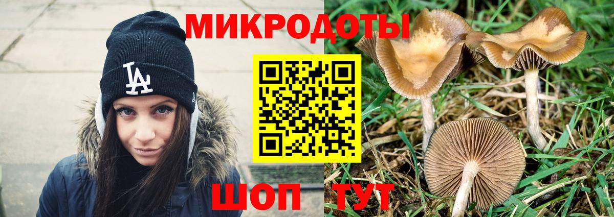 где найти наркотики  Псилоцибиновые грибы GOLDEN TEACHER  Ступино  Вход с VPN  Псилоцибиновые грибы Psilocybine cubensis 